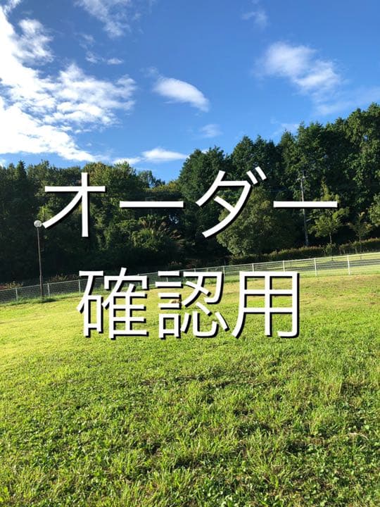 オーダー確認用 背中側