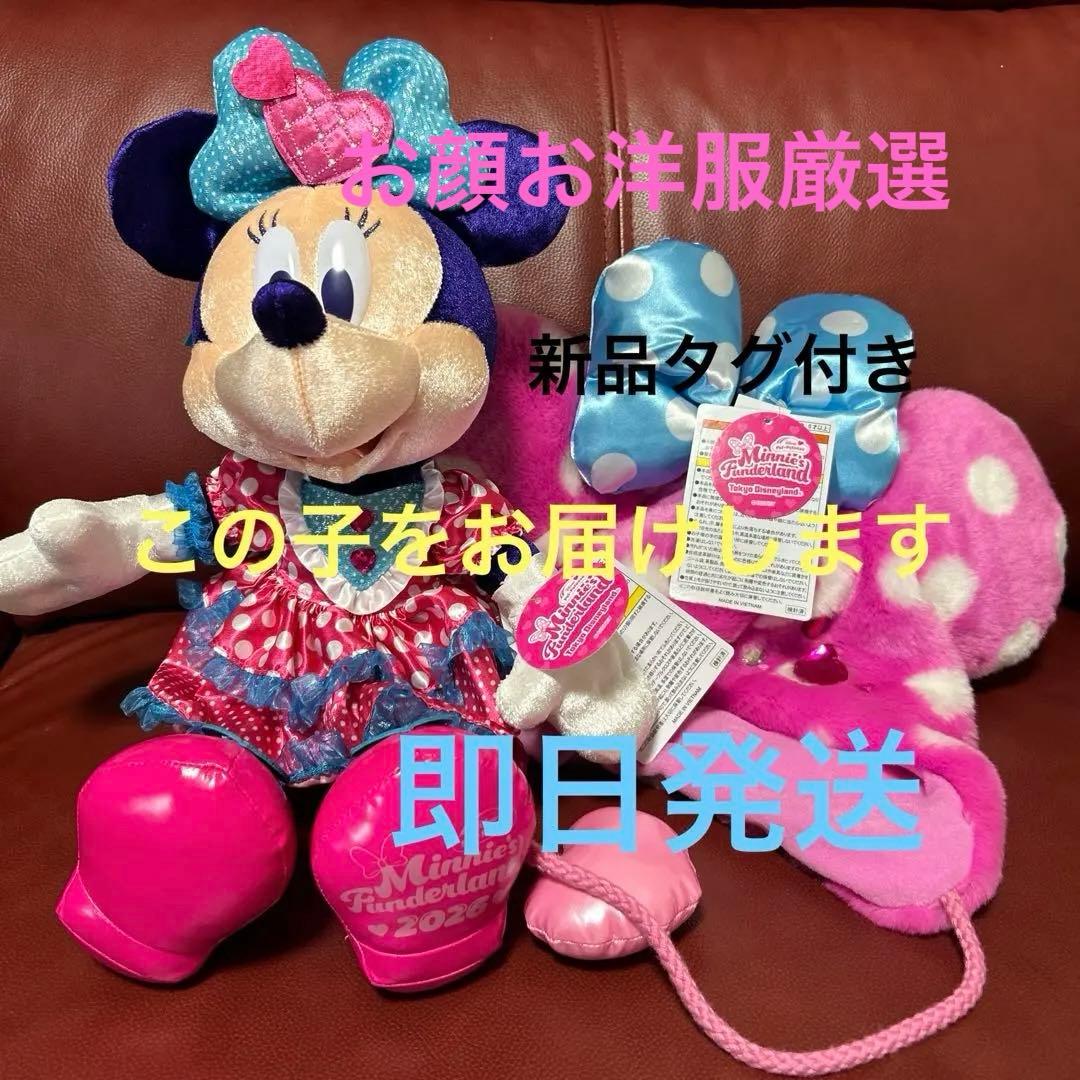 ミニーのファンダーランド　ぬいぐるみ パルパルーザ　ファンキャップ　2点セット