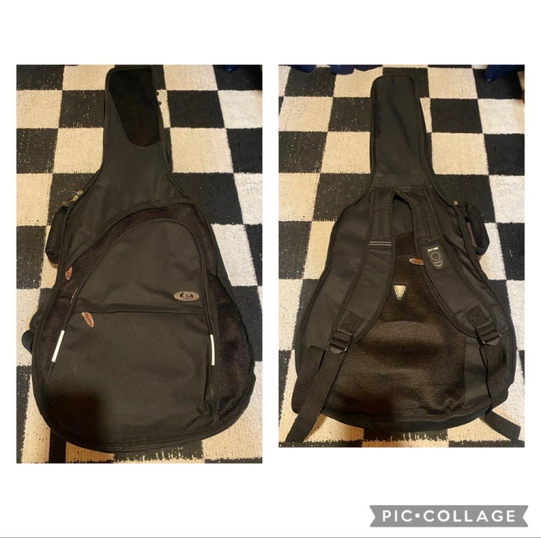 Aria Pro 2 TA-700 (Ritter Gig Bag付き)