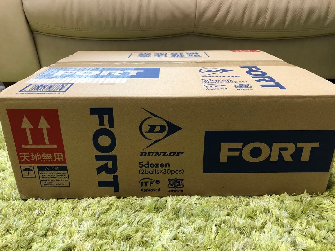 FORT(フォート) 硬式テニスボール ダンロップ　30缶60球