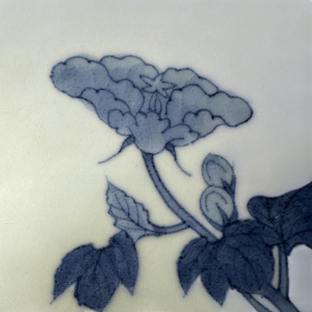 後期鍋島　染付芙蓉文中皿　六客　江戸後期〜明治初期　同手図録掲載品　20.7cm