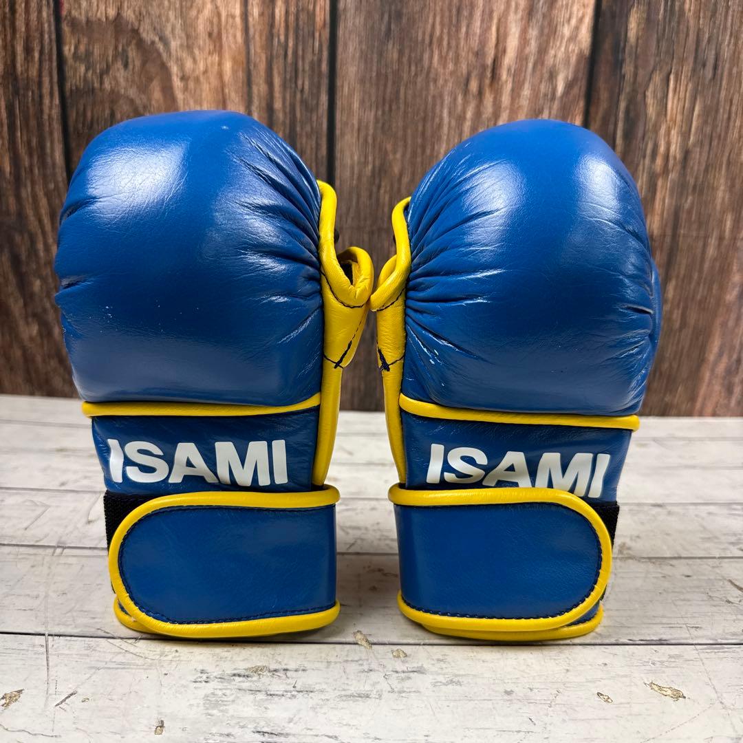 ISAMI パウンドグローブ グローブ フリーサイズ ボクシング 格闘技