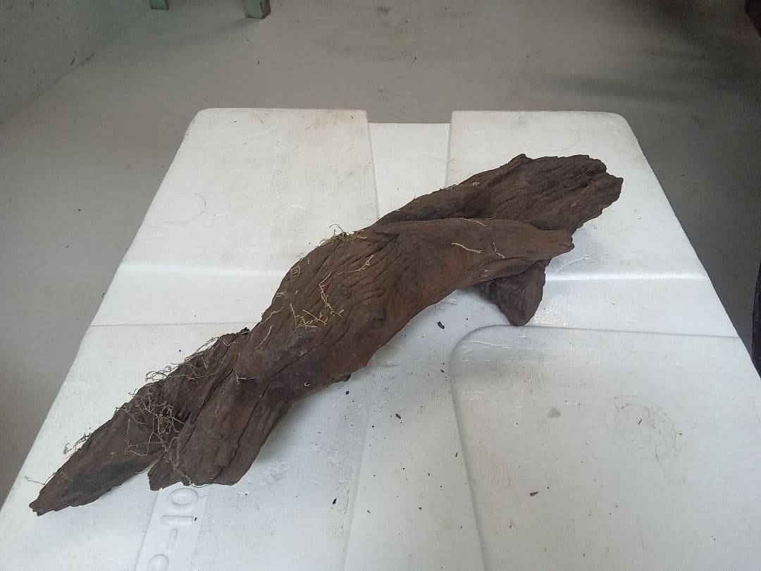 流木　詰め合わせ