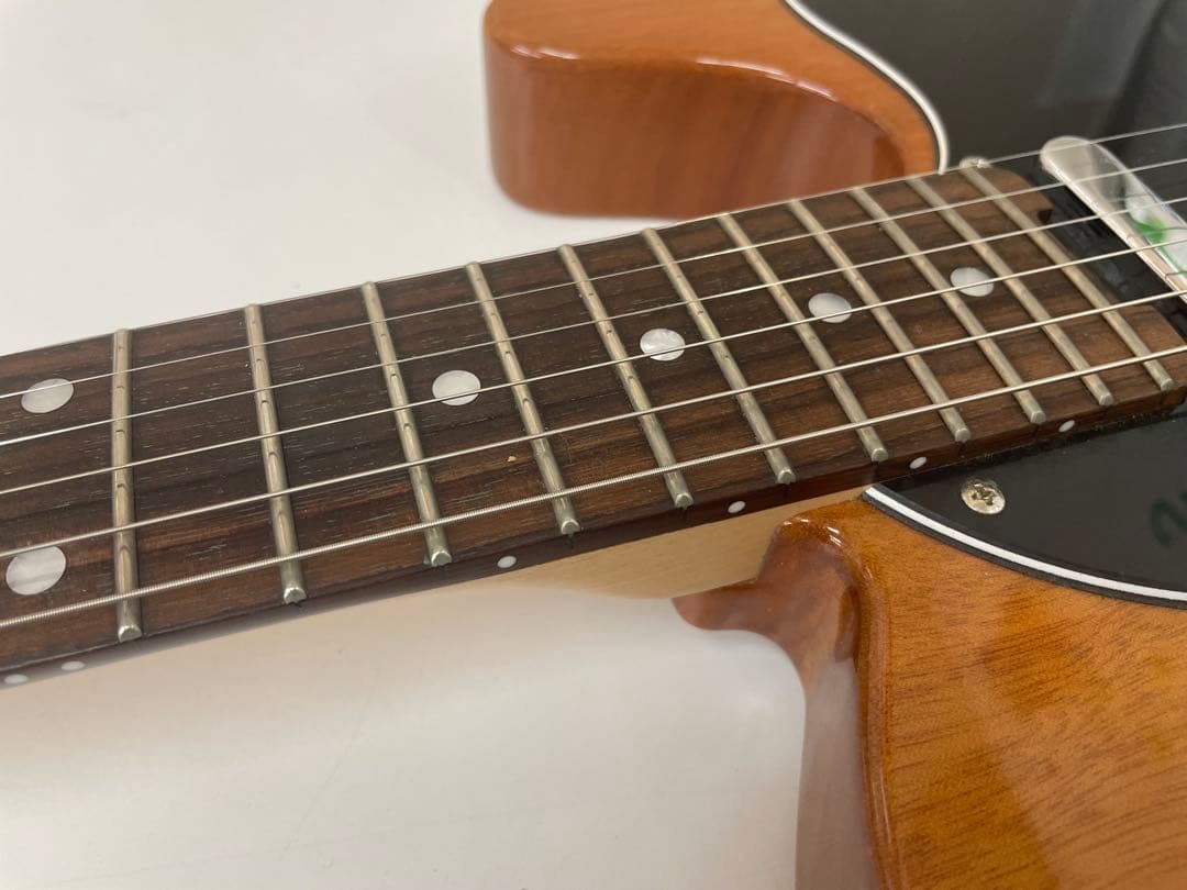 限定生産モデル Schecter OL-PT-TH ホロウボディ