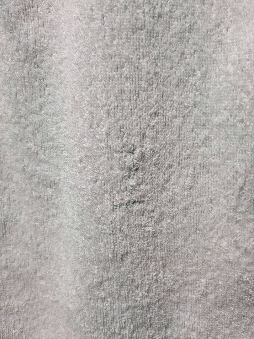 美品　STUSSY　ラスタ　ビーチタオル　レゲエ　　MIGHTY CROWN