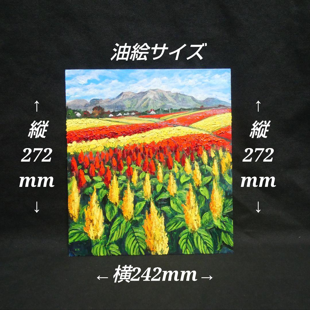 【秋日和のケイトウ】絵画 油彩 油彩画 絵 油絵