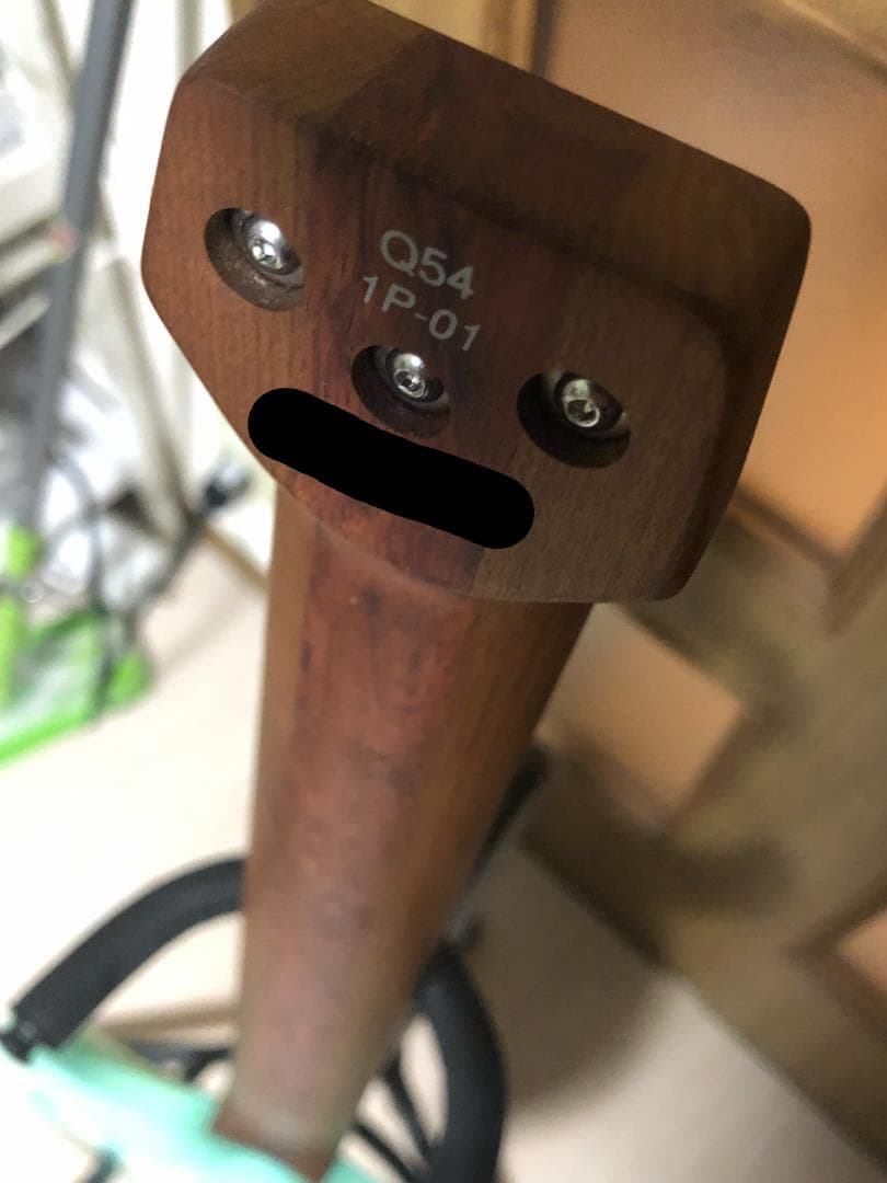 ギター Ibanez Q54-SFM