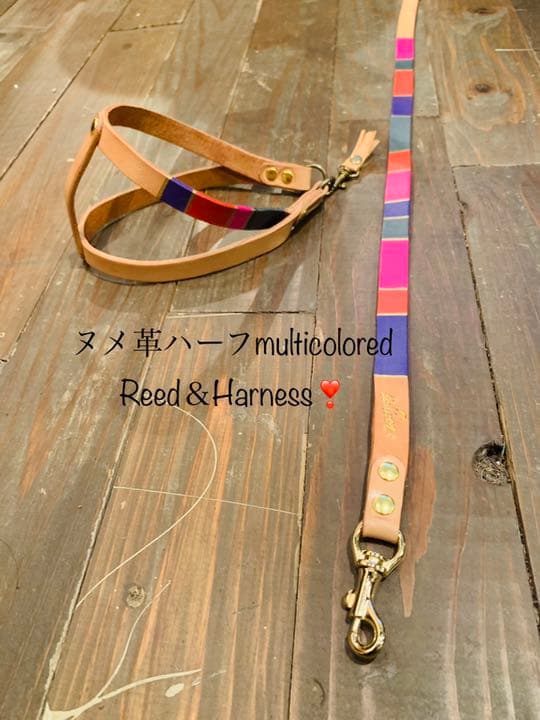 犬用　リード＆ハーネス　　ヌメ革ハーフマルチカラー