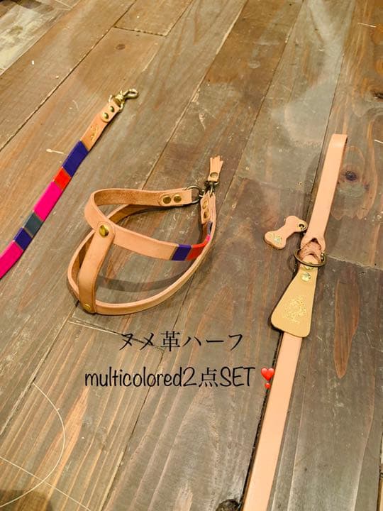 犬用　リード＆ハーネス　　ヌメ革ハーフマルチカラー
