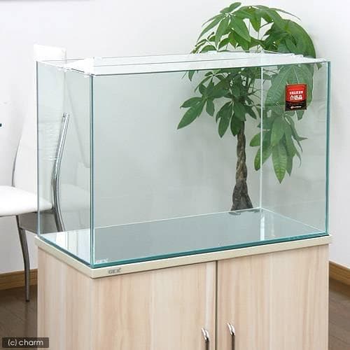 AＧＥＸ グラステリア６００水槽 （６０×３０×４０） ６０ｃｍ水槽（単体） ジ