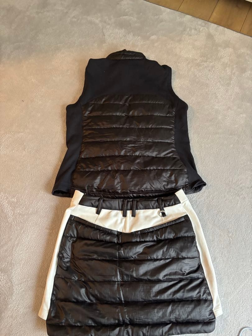 ジュンアントロペセットアップ