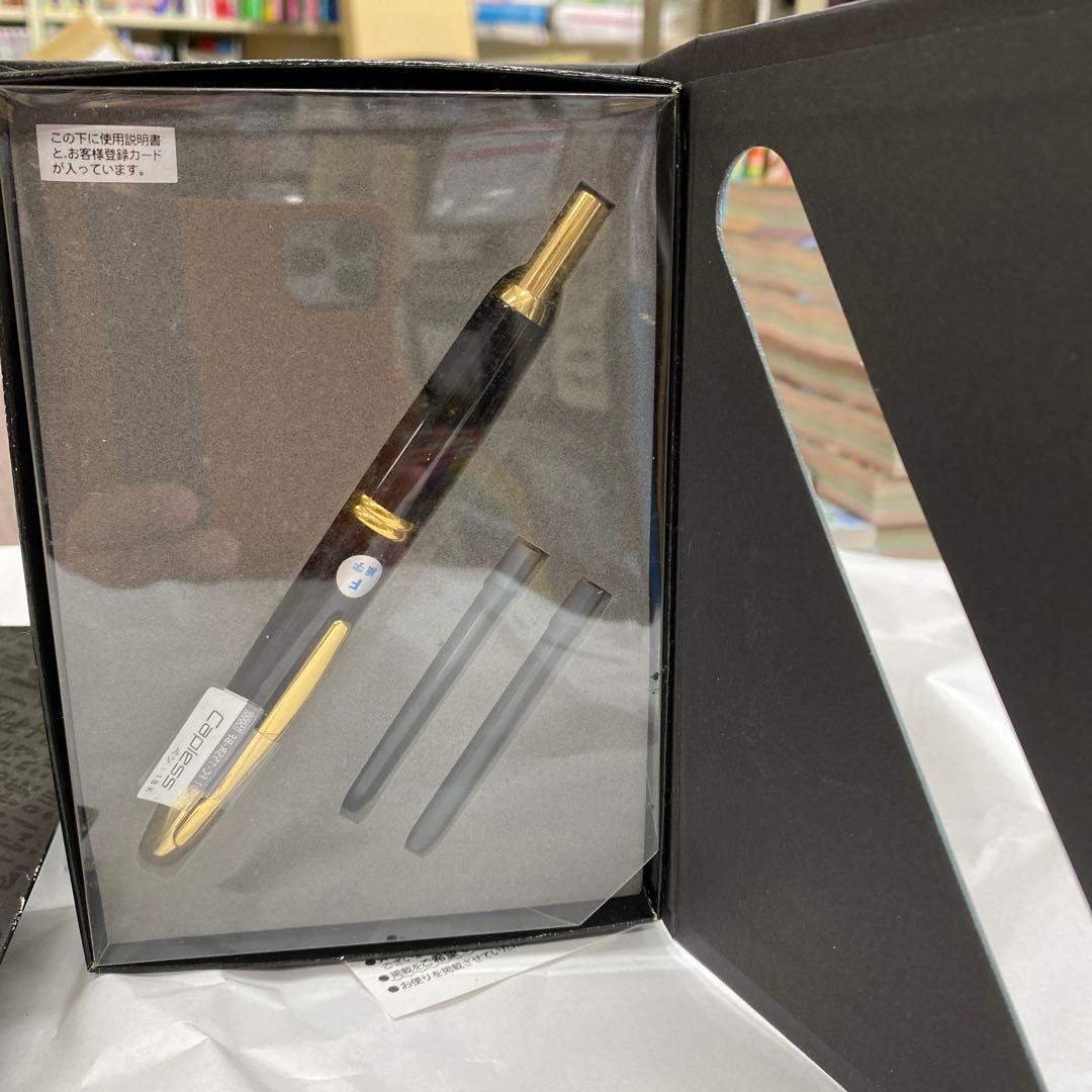 パイロット　ノック式万年筆