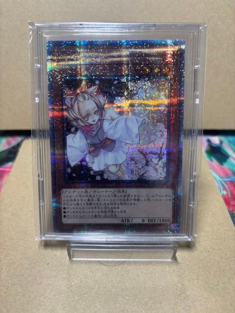 遊戯王　灰流うらら　25th クオシク