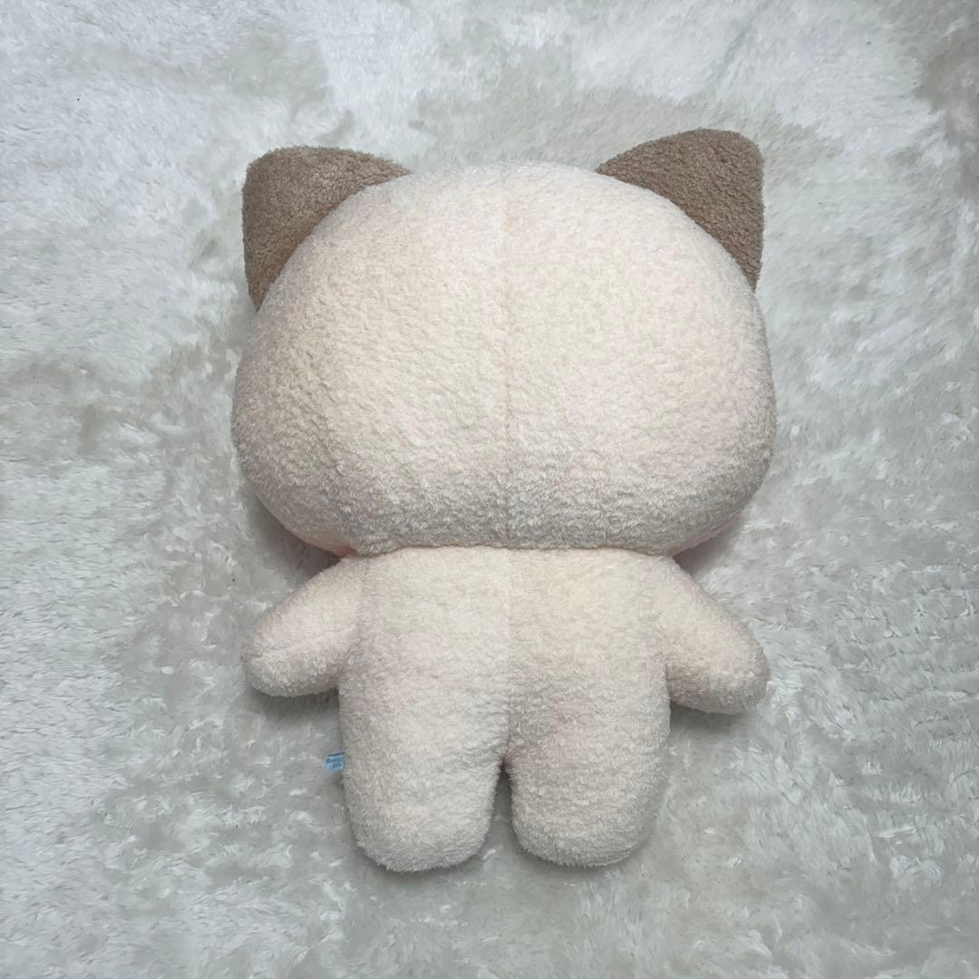 ゼベワン zb1 ハオ zeroni hanini ハニニ フラットぬいぐる