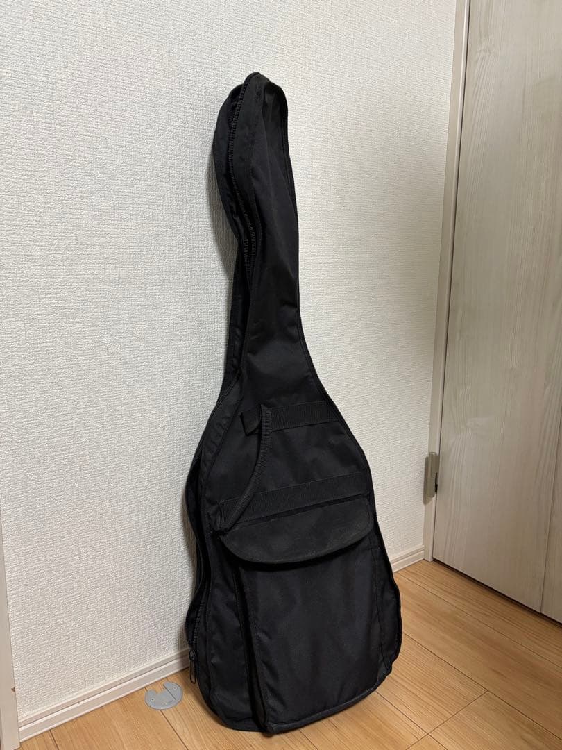 エレキギター FERNANDES ギターケース付き