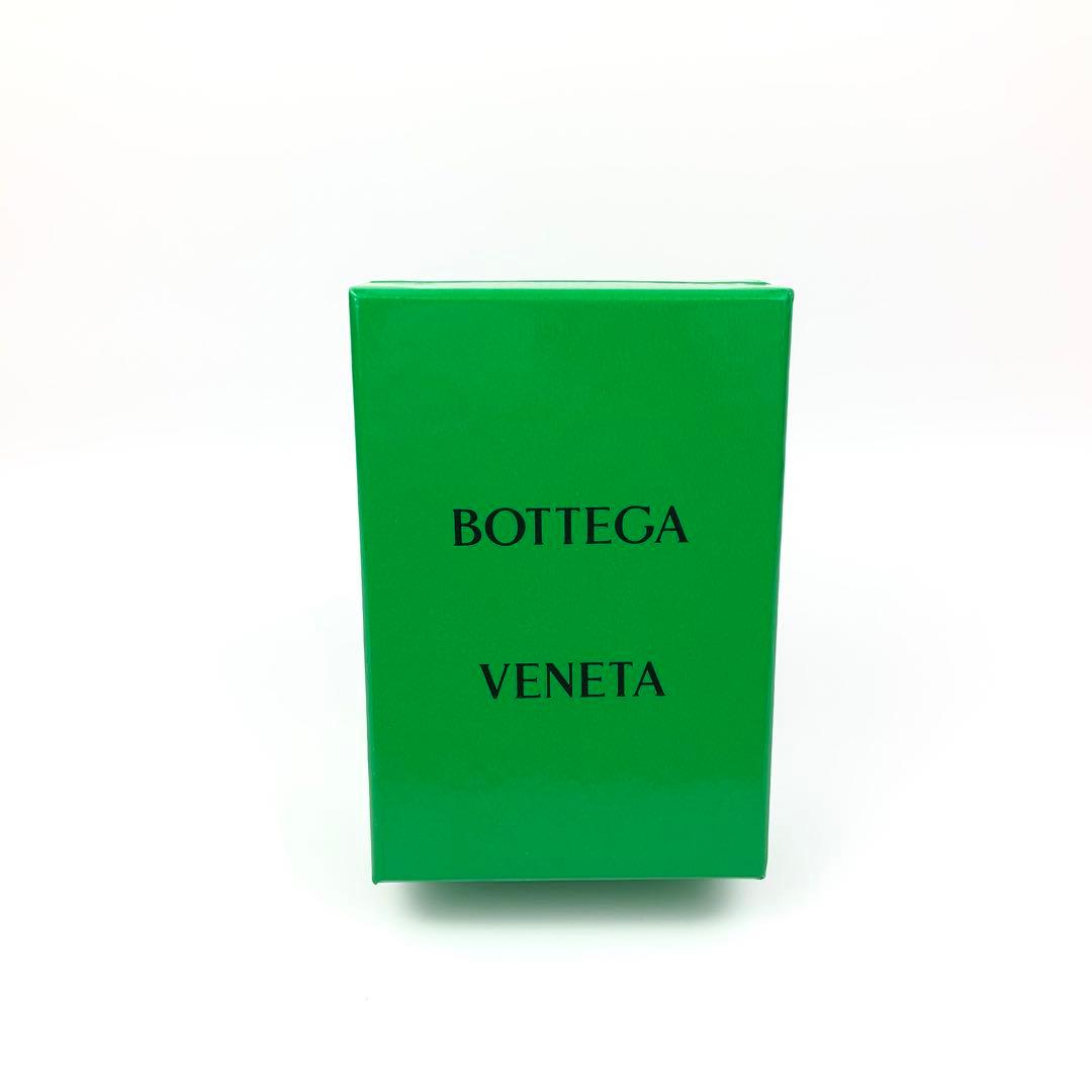 【極美品】ボッテガヴェネタ　イアホン ケース