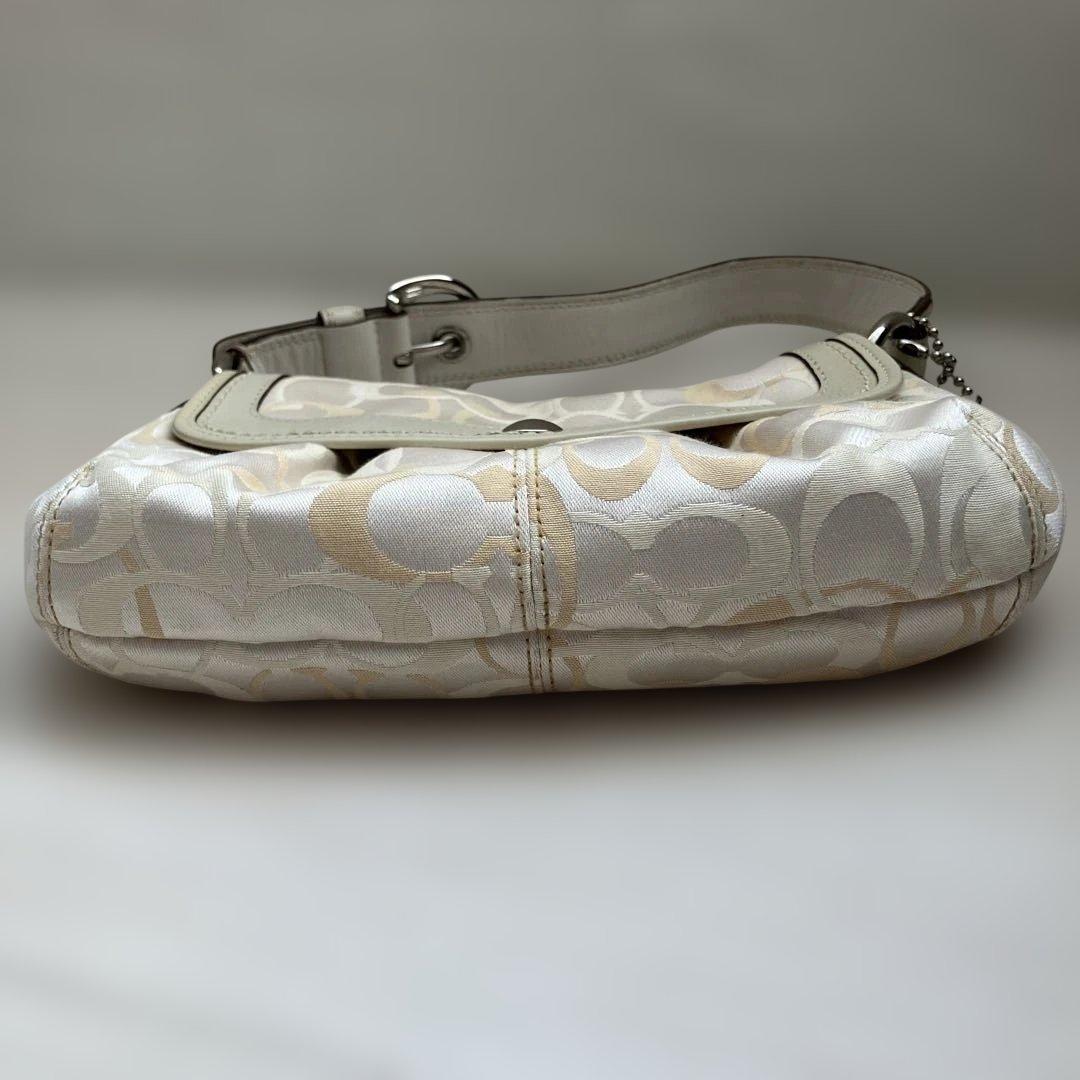 COACH ワンショルダーバッグ キャンバス シグネチャー