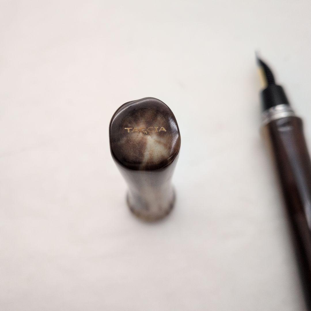 TACCIA バッファロー 万年筆