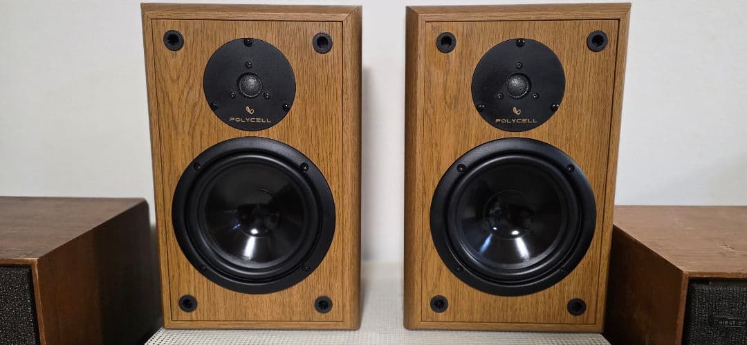 INFINITY/インフィニティ　REFERENCE ONE　ペア