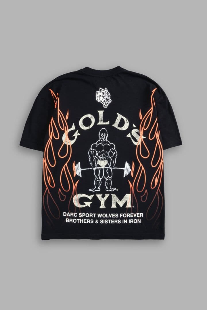 ダルクスポーツ ゴールドジム Tシャツ M