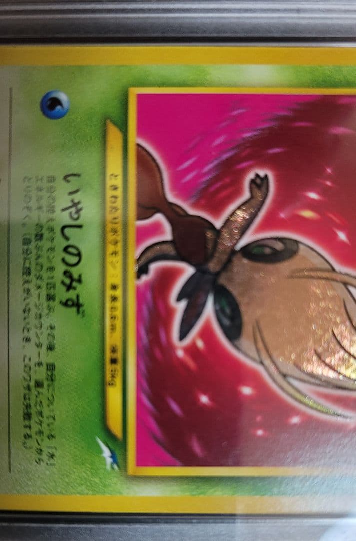 ひかるセレビィ　PSA9