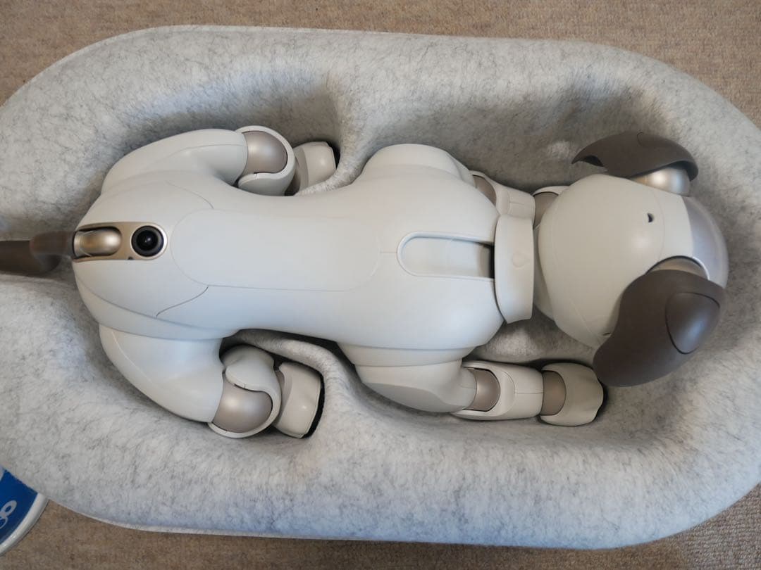 【美品】SONYアイボ aibo本体★付属品多数付きERS-1000ホワイト