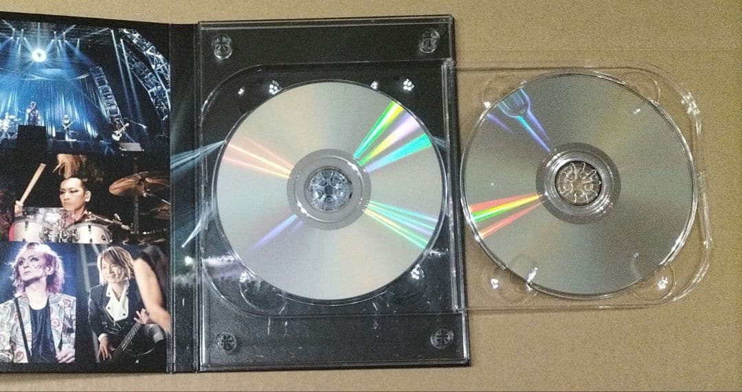 THE DAY IN QUESTION 2017 完全生産限定盤 DVDバクチク