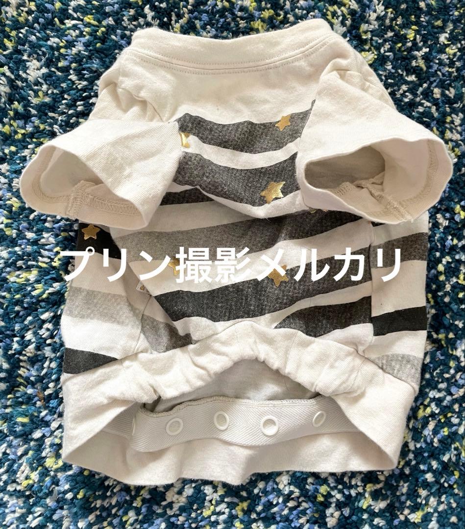 アズノゥアズデワン犬服 ペアとママ服おそろストライプ &スター★セットで出品