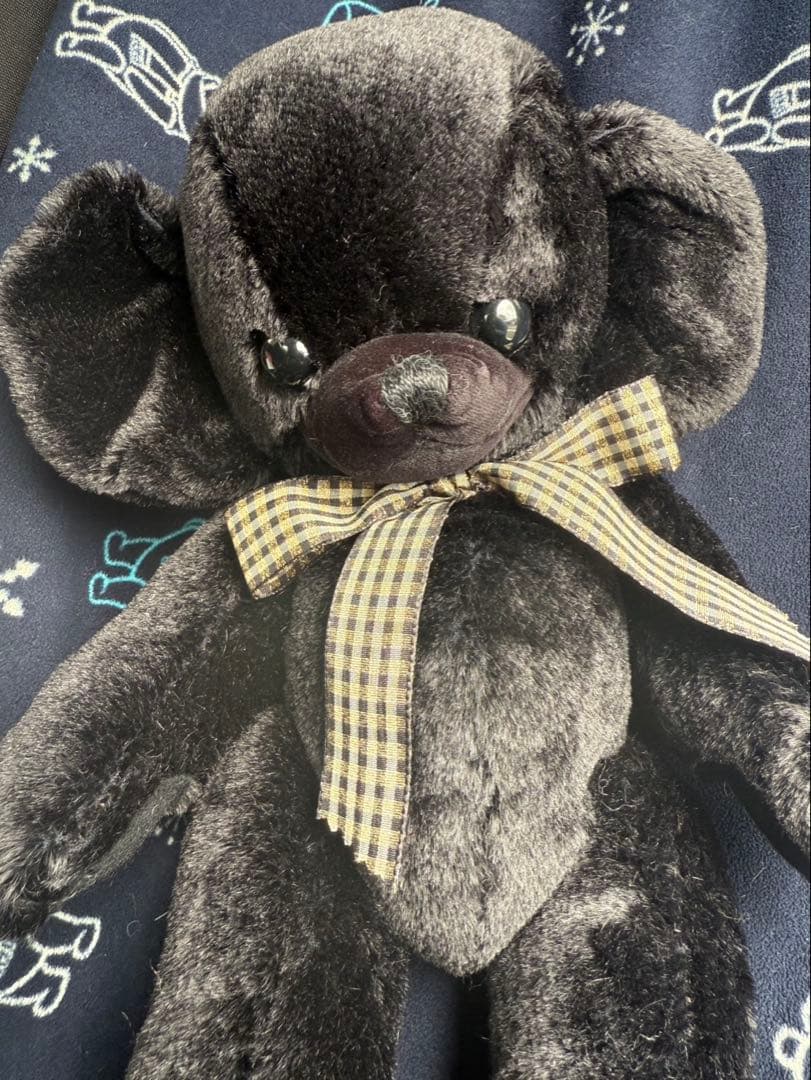 メリーソート\"チーキー\"Blackbean