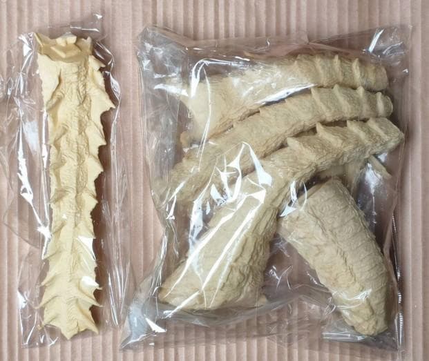 海洋堂 酒井ゆうじ原型 デスギドラ モスラ レジンキャスト ガレージキット