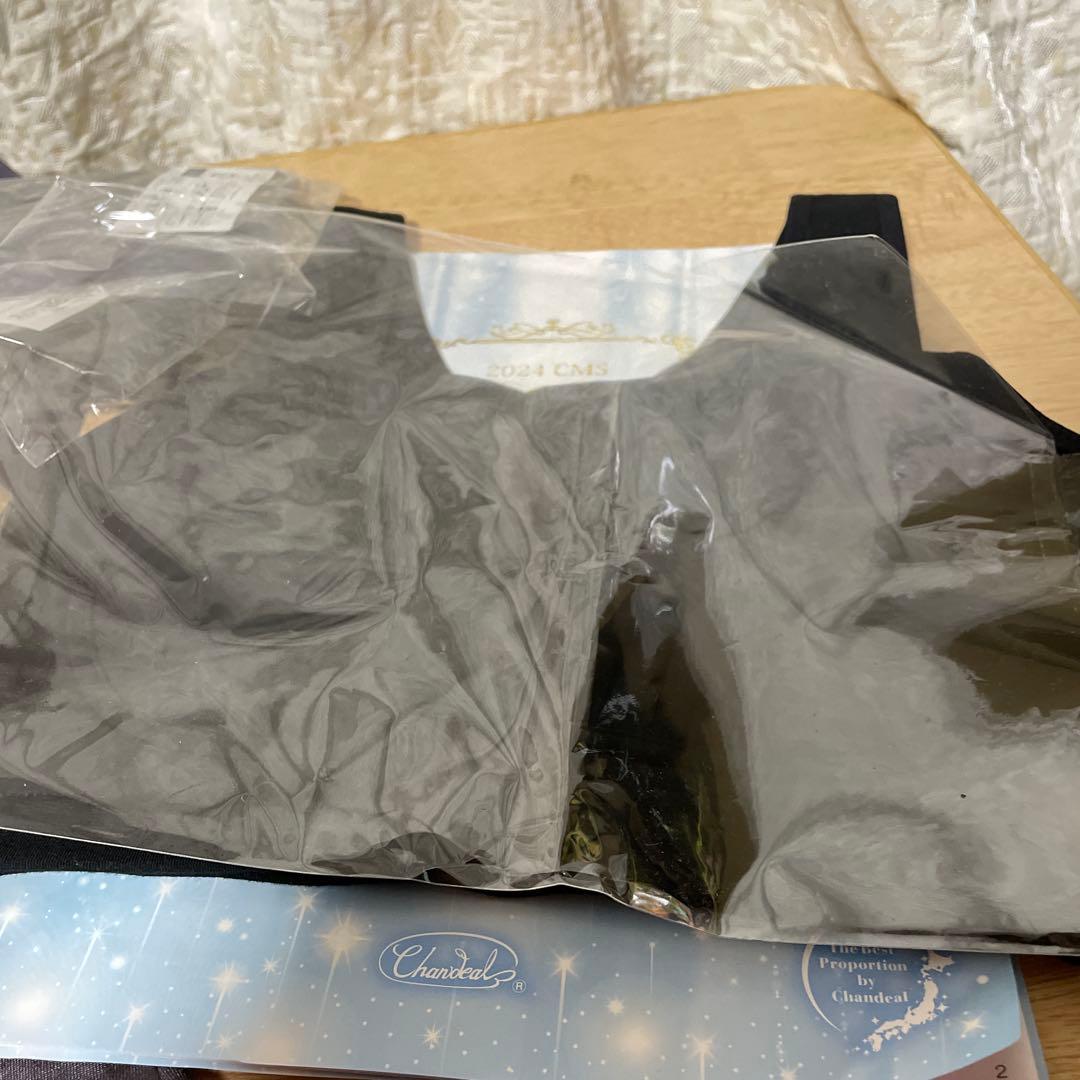 シャンデールおやすみインナーM