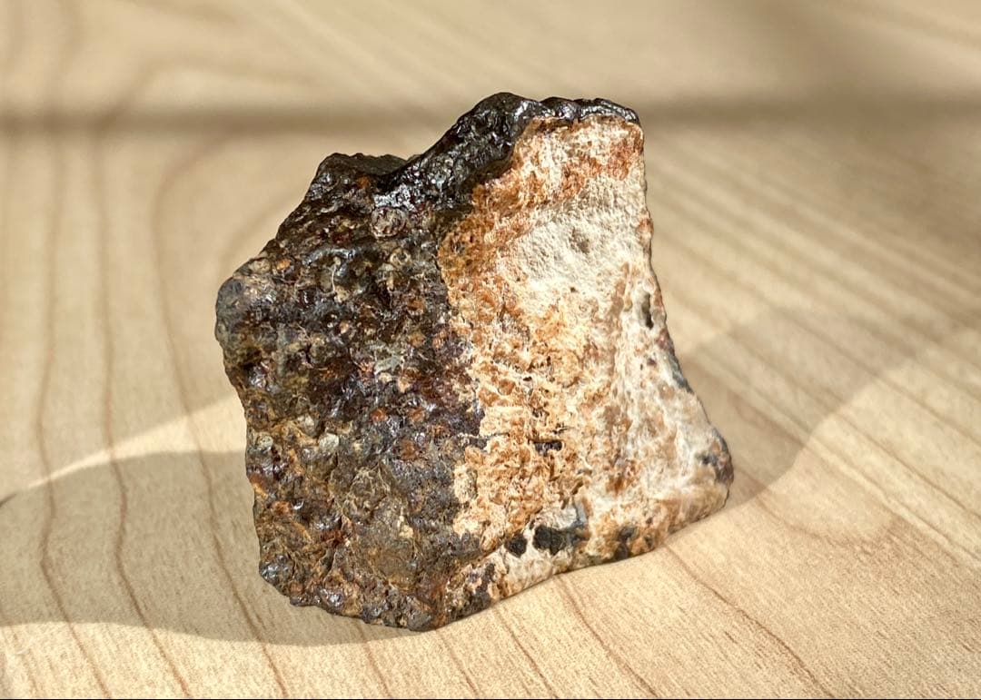 CVred3 炭素質 隕石 31.4g NWA12590 メテオライト 標本