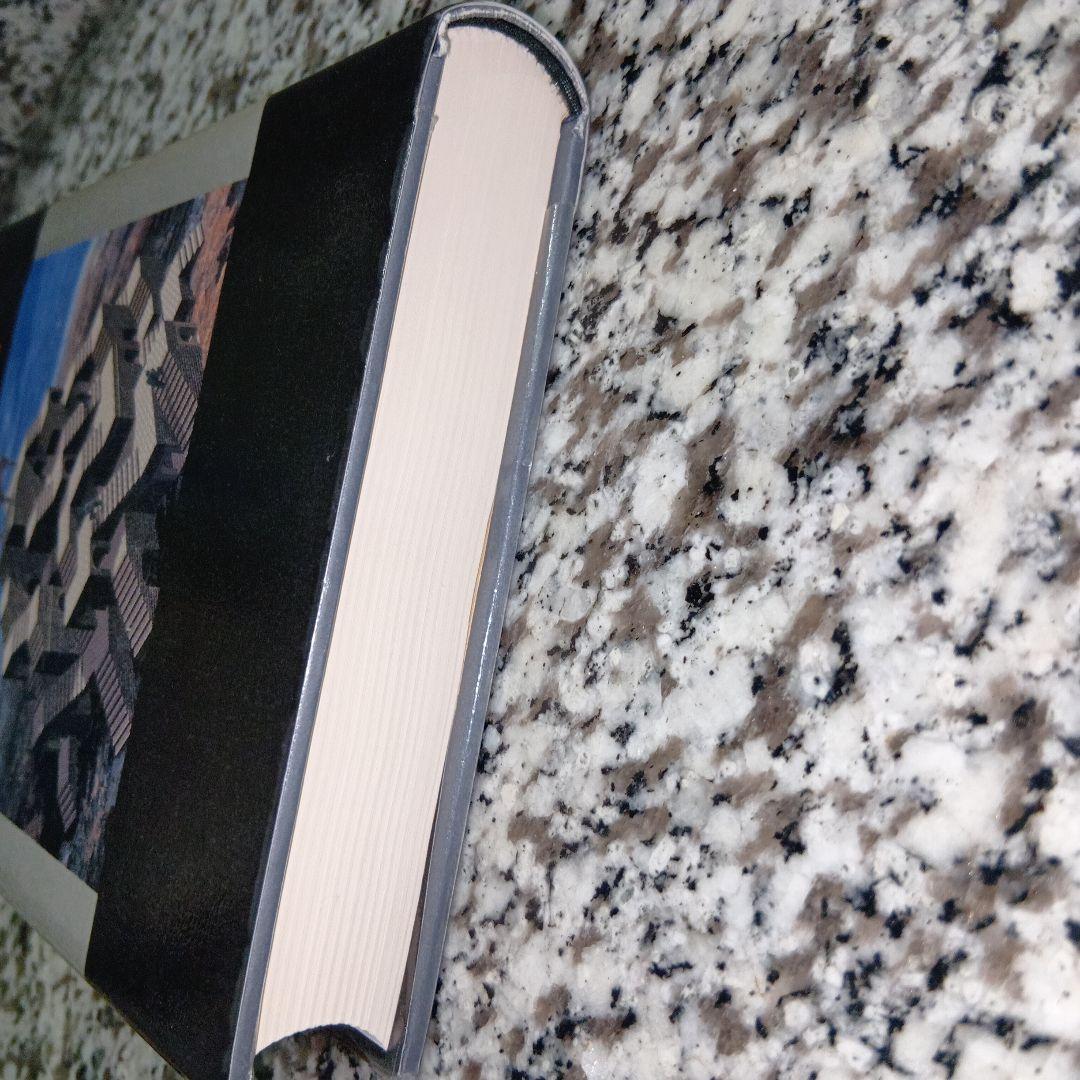 ヴィトゲンシュタインの箒　ウォレス　宮崎尊　絶版希少　除籍本　講談社　人気　本