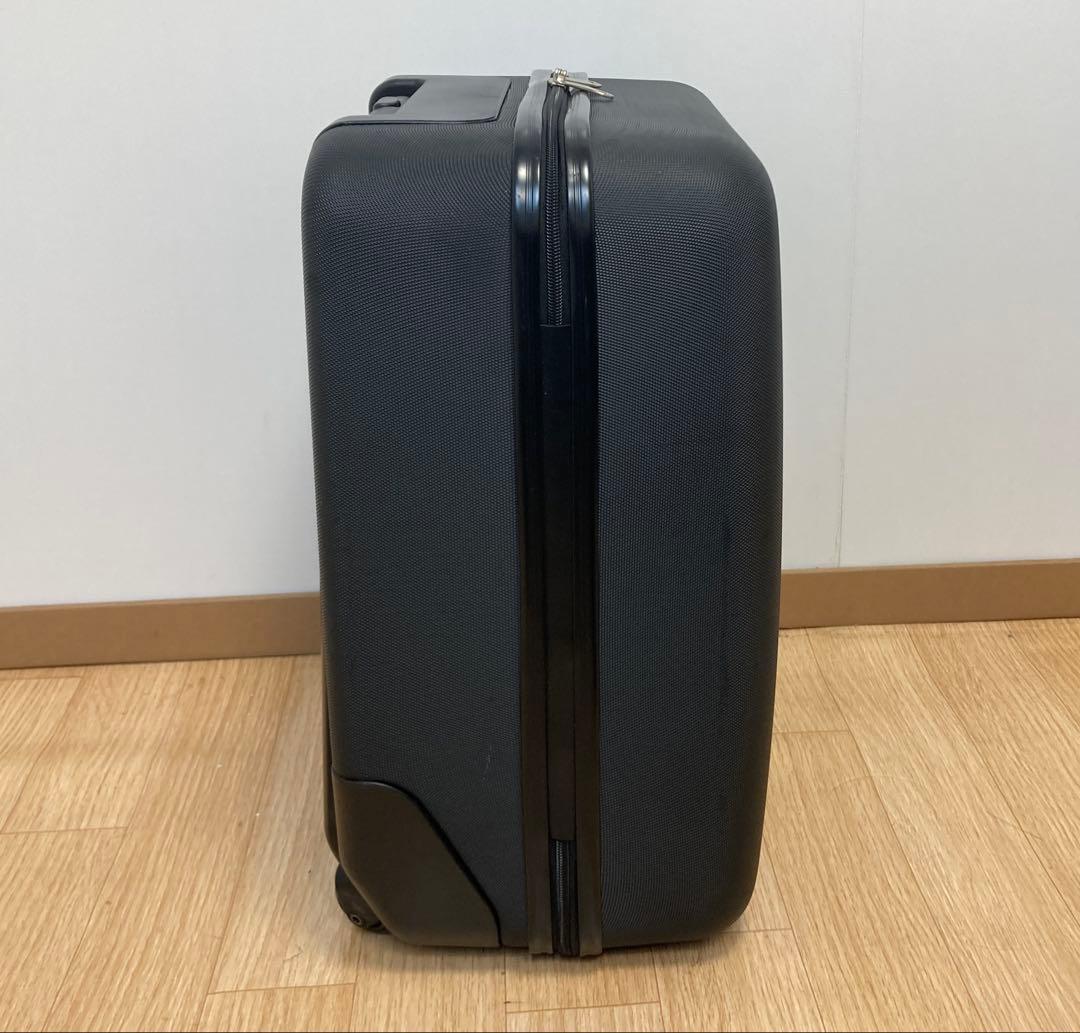 mountain buggy 子供が乗れるキャリーバッグ