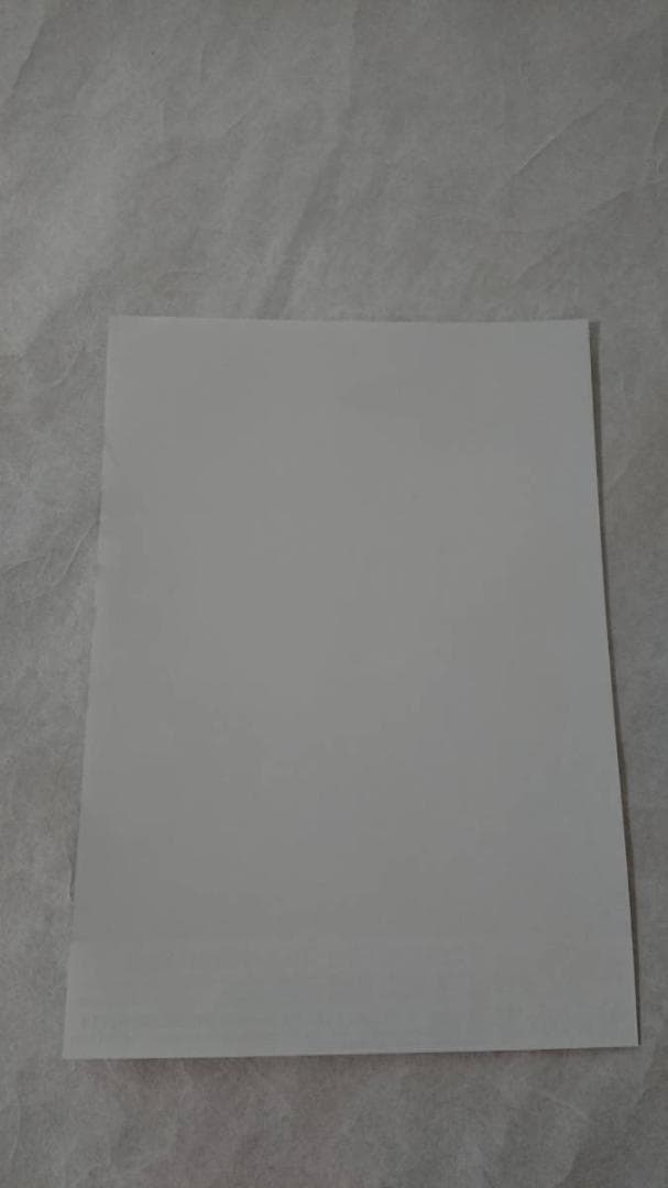 ★矢沢永吉・2007年・日本武道館・B5サイズチラシ