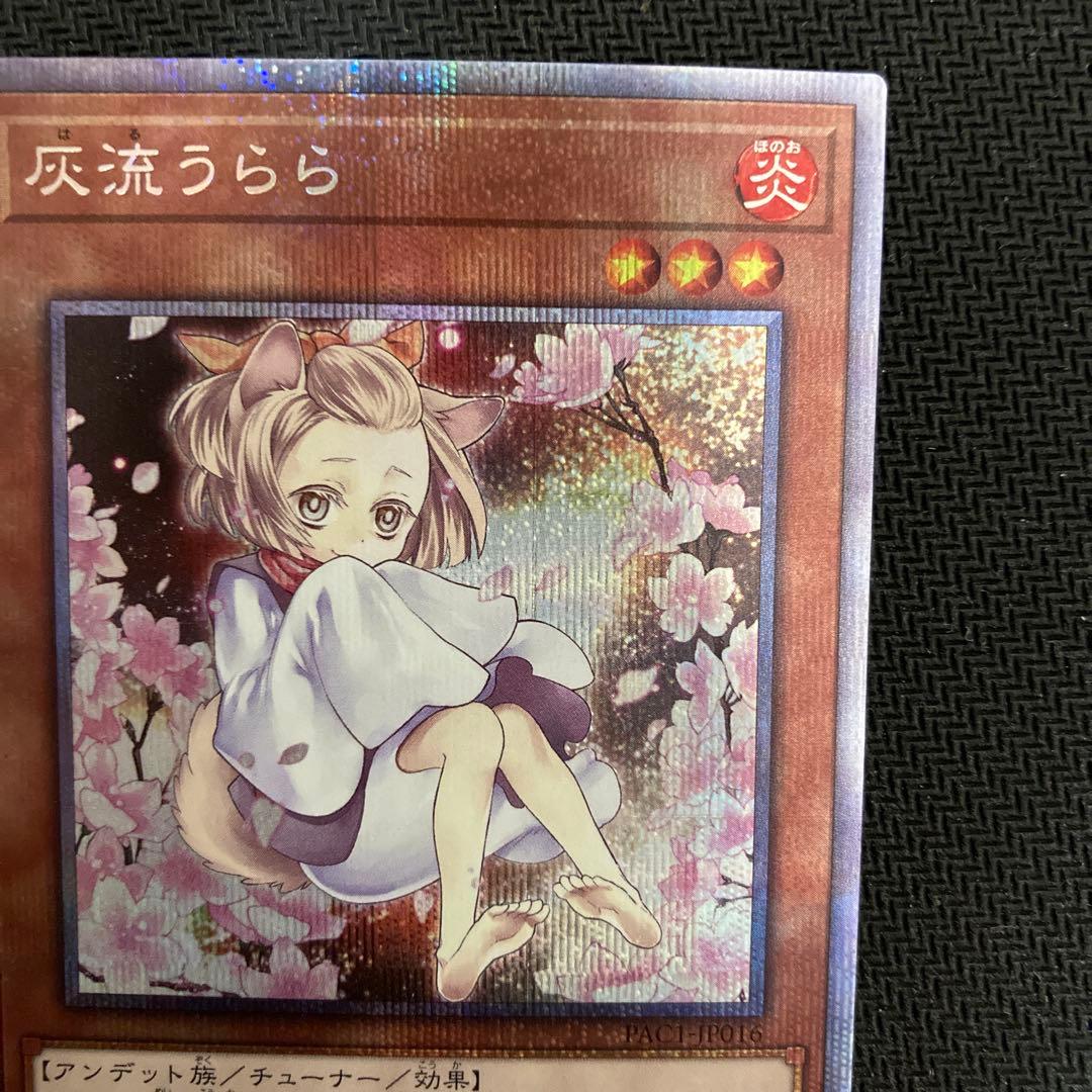 遊戯王　汎用娘　　絵違い　プリズマ　プリシク　4枚セット