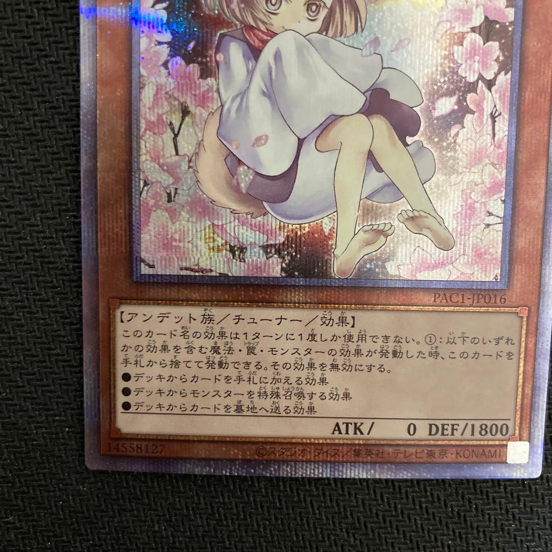 遊戯王　汎用娘　　絵違い　プリズマ　プリシク　4枚セット