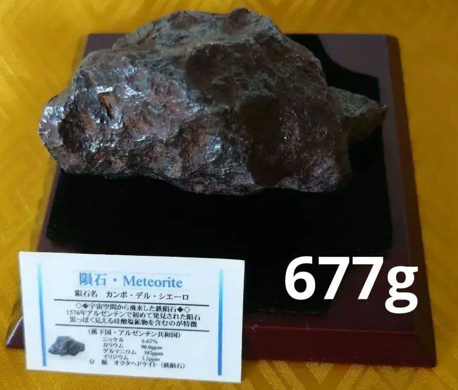 鉄隕石【カンポ・デル・シエーロ】Meteorite 原石 677g