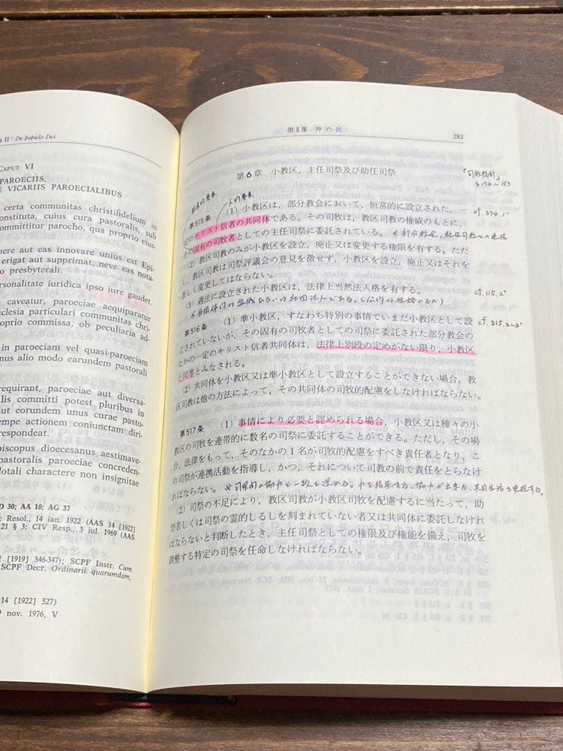 カトリック新教会法典 羅和対訳