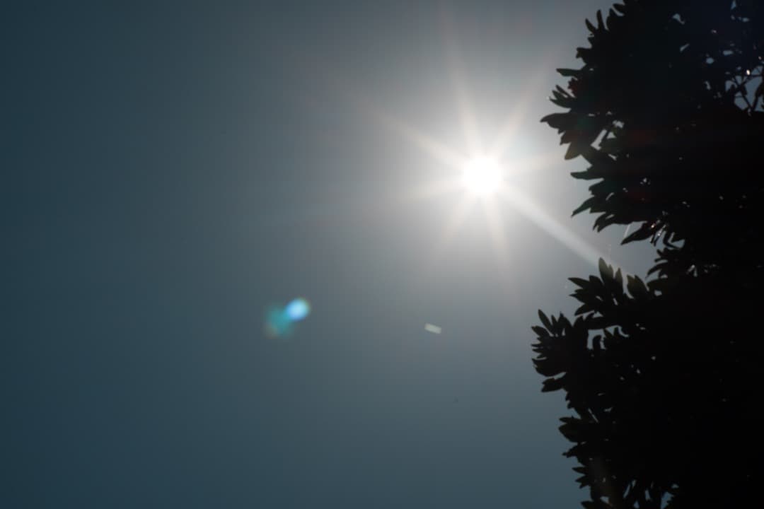 【美品】Carl Zeiss Planar 85mm F1.4 AEG 156