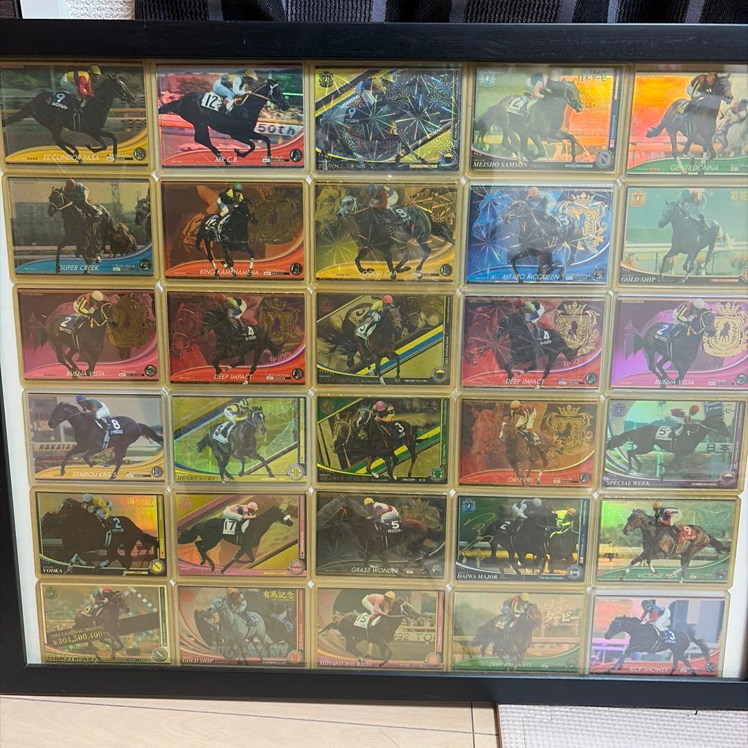 オーナーズホース30枚セット