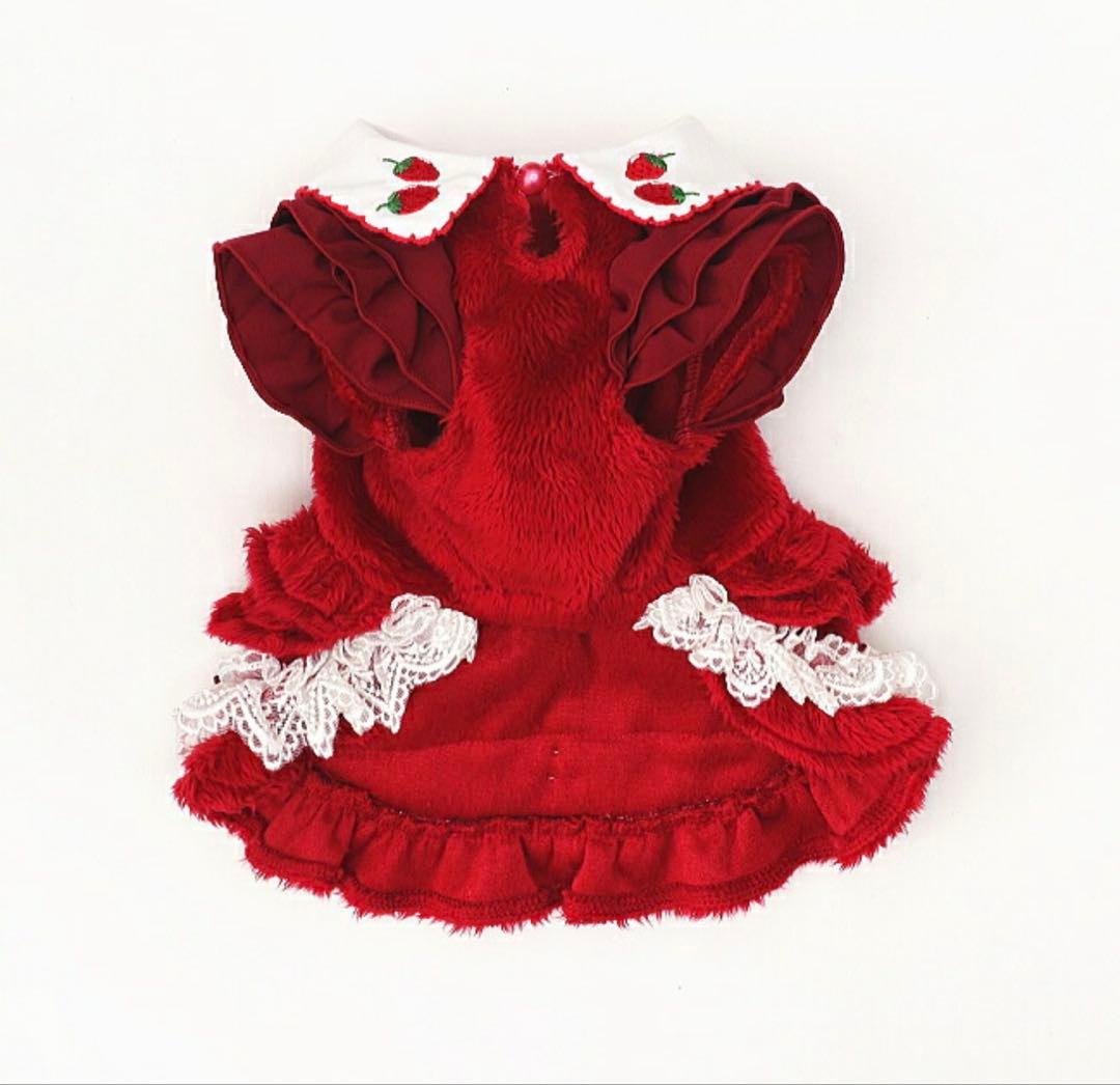 CanNana きゃんナナ　Sサイズ