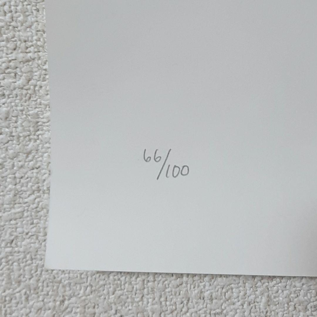 VOLCOM Todd Bratrud 非売品 100枚限定 サイン入りポスター