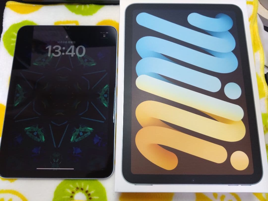 iPad mini（第7世代 A17 Pro）Wi-Fi 256GB ブルー