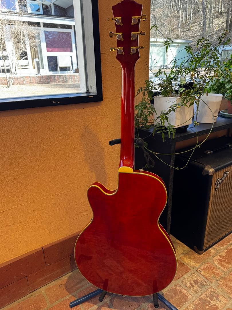 Landscape セミアコースティックギター