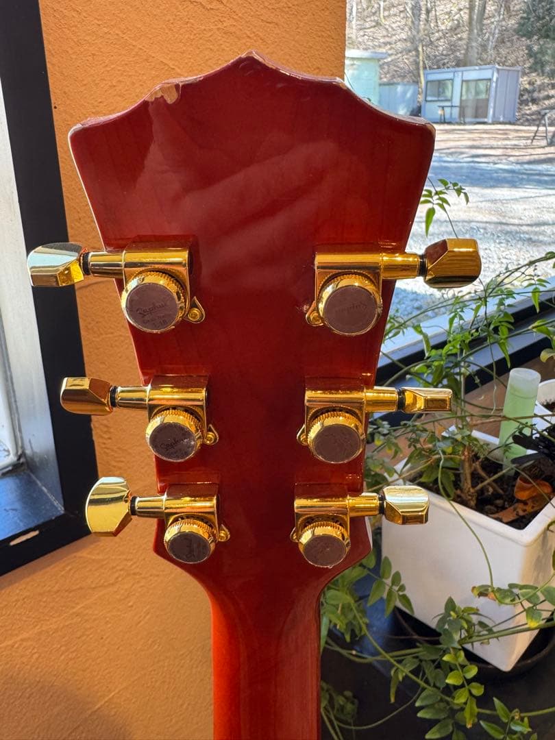 Landscape セミアコースティックギター