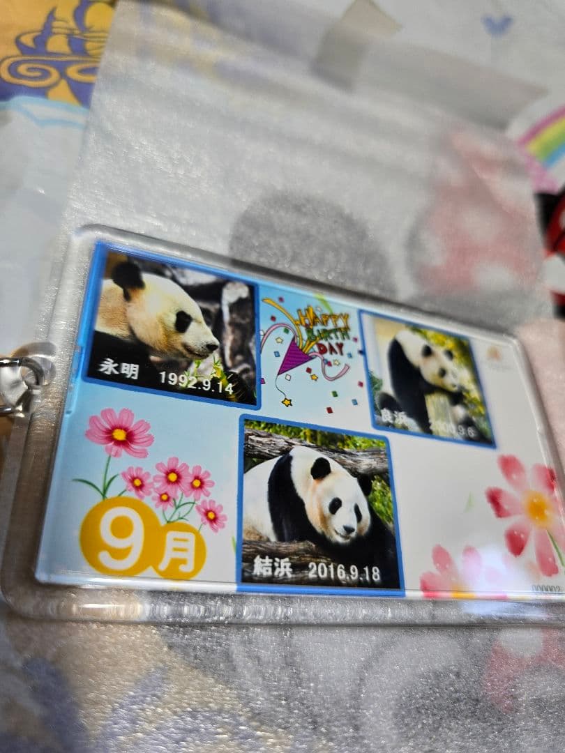 ぴ*こ様 アドベンチャーワールド　キーホルダー