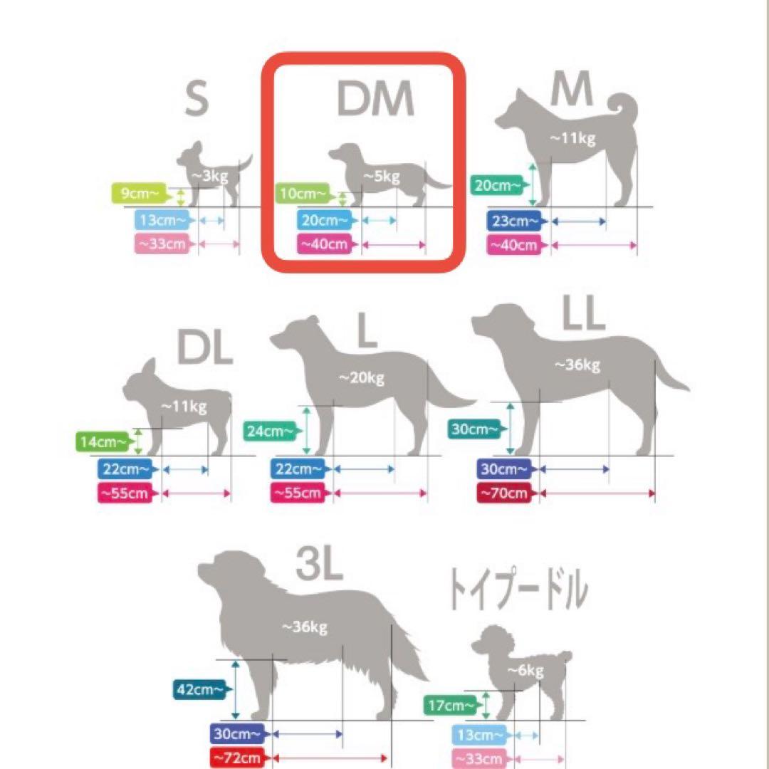 【DMサイズ 】OneAidリラクッション　ベージュ　メーカー定価20,900円
