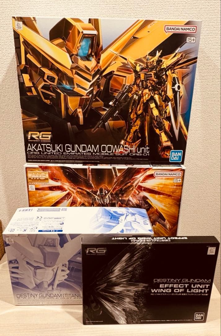 MG 1/100 ガンダムベース限定 デスティニーガンダム ハイネ機+α