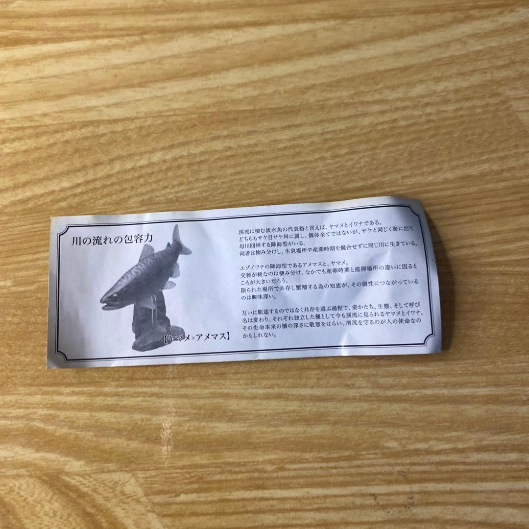 【未使用】YUJIN 原色　淡水魚図鑑Ⅰ 改訂版　ヤマメ　× アメマス